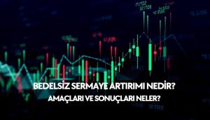 bedelsiz sermaye artırımı nedir, bedelsiz sermaye artışı amaçları ve sonuçları