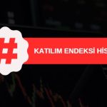 katılım endeksi hisseleri, dahil olan ve çıkarılan paylar