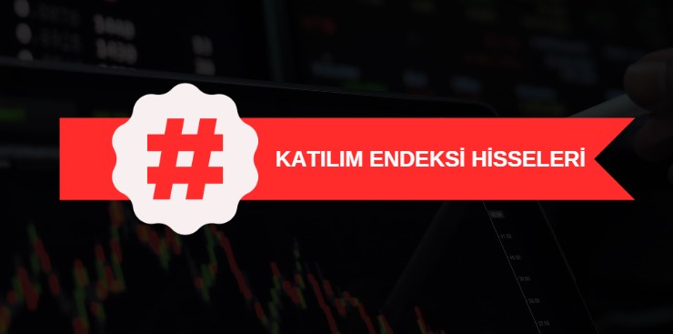 katılım endeksi hisseleri, dahil olan ve çıkarılan paylar