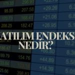 katılım endeksi nedir, hangi hisseler katılım endeksine girebilir