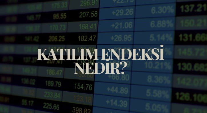 katılım endeksi nedir, hangi hisseler katılım endeksine girebilir