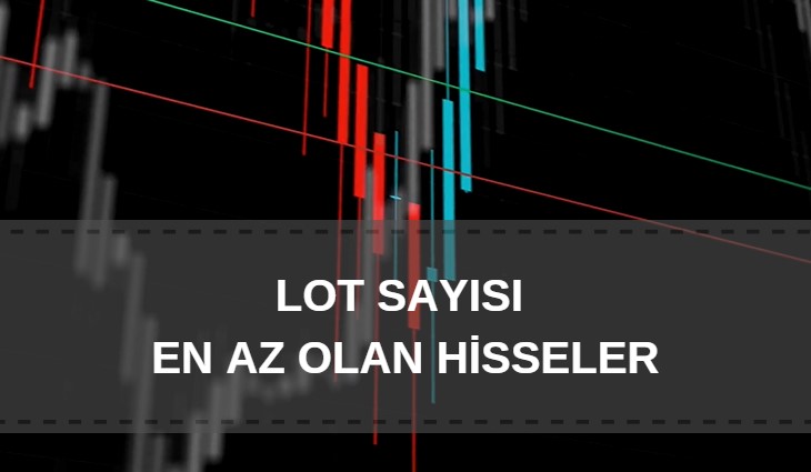 lot sayısı az olan hisseler, borsada işlem gören hisse sayısı az olan şirketler