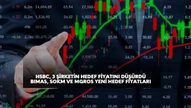 HSBC Bank, MGROS, BIMAS ve SOKM hedef fiyatlarını düşürdü